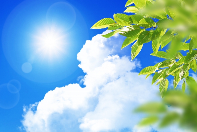 夏　強い日差し